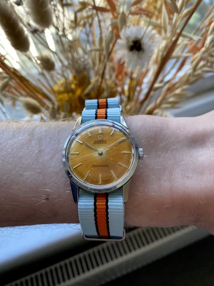 Omega Seamaster 1963 - Inside